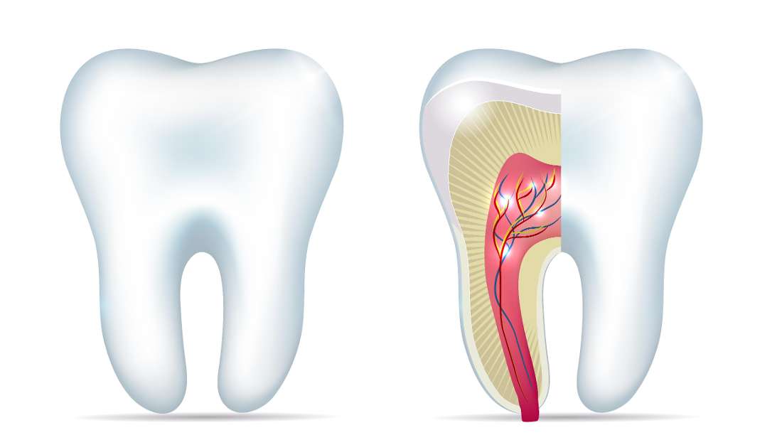 Root Canals vs. Tooth Extractions Dentist Lincoln NE
