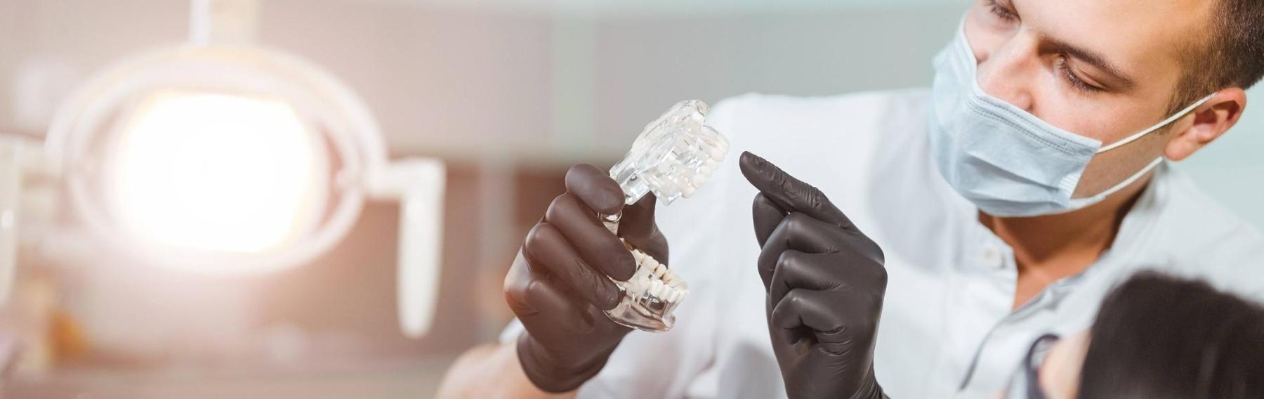 Implant dentist in Lincoln showing patient model of teeth